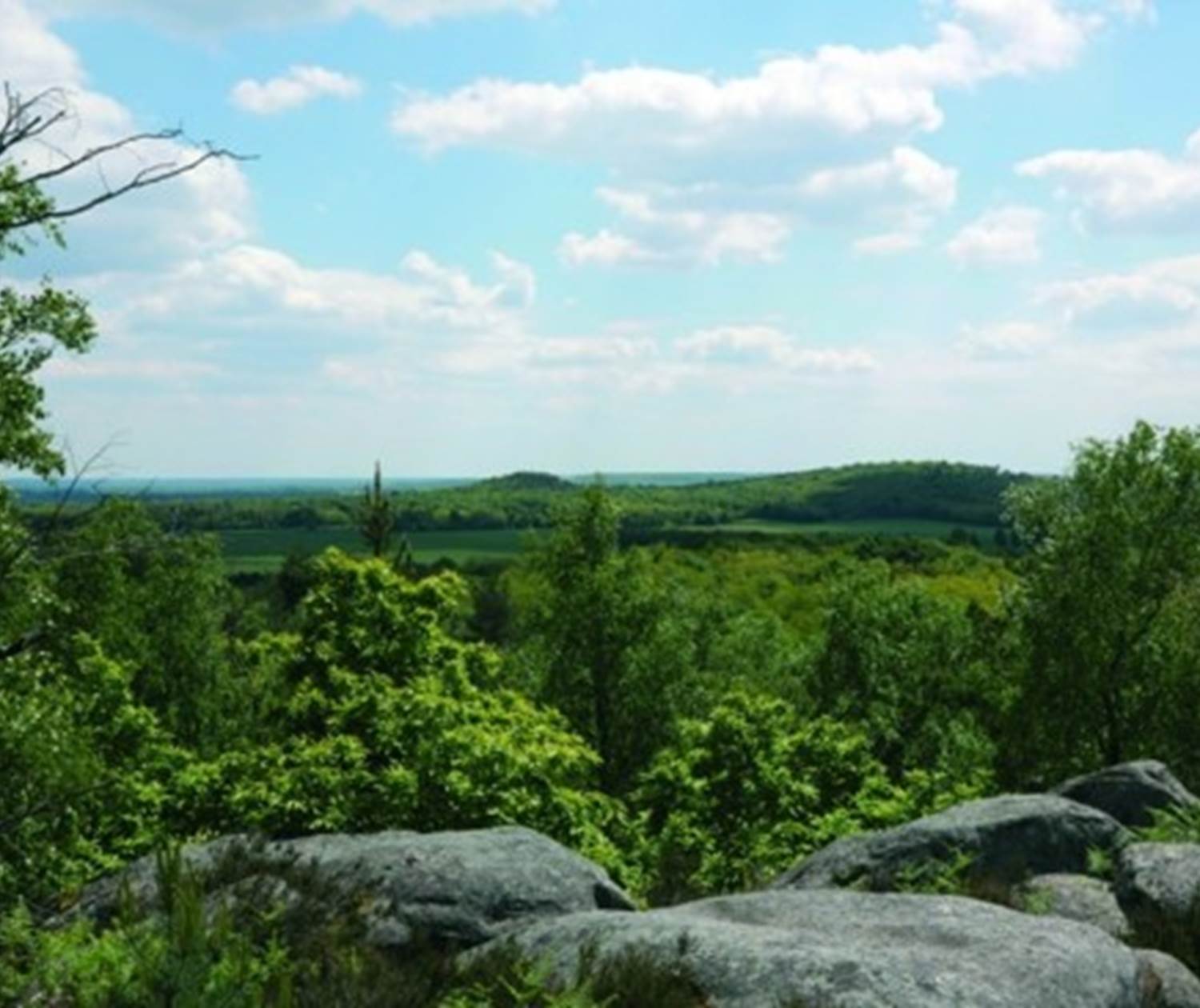Paysage du gâtinais