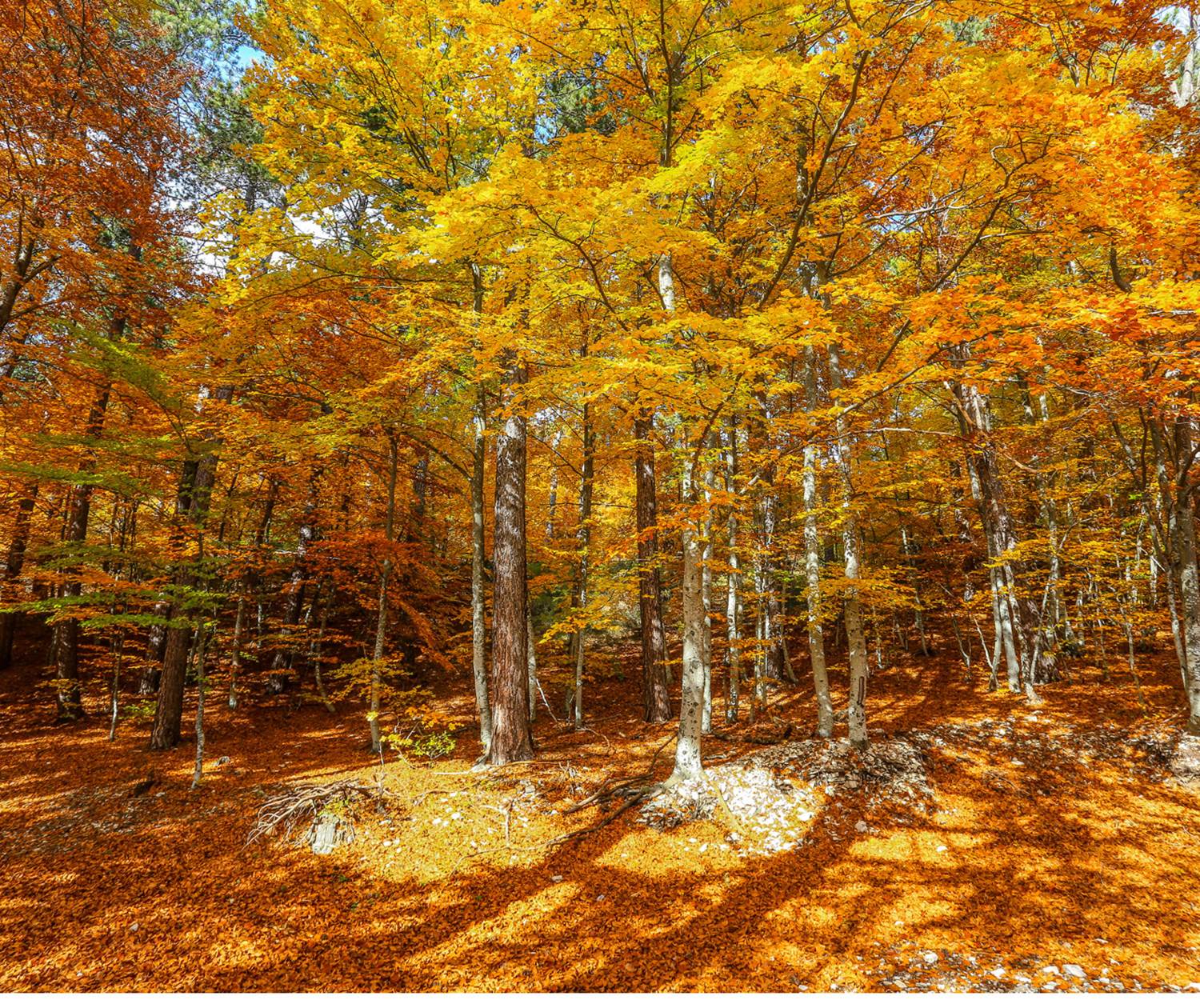 Mont Ventoux. Copyright. 8745-Bedoin_-HOCQUEL_A_-_VPA-1600px
