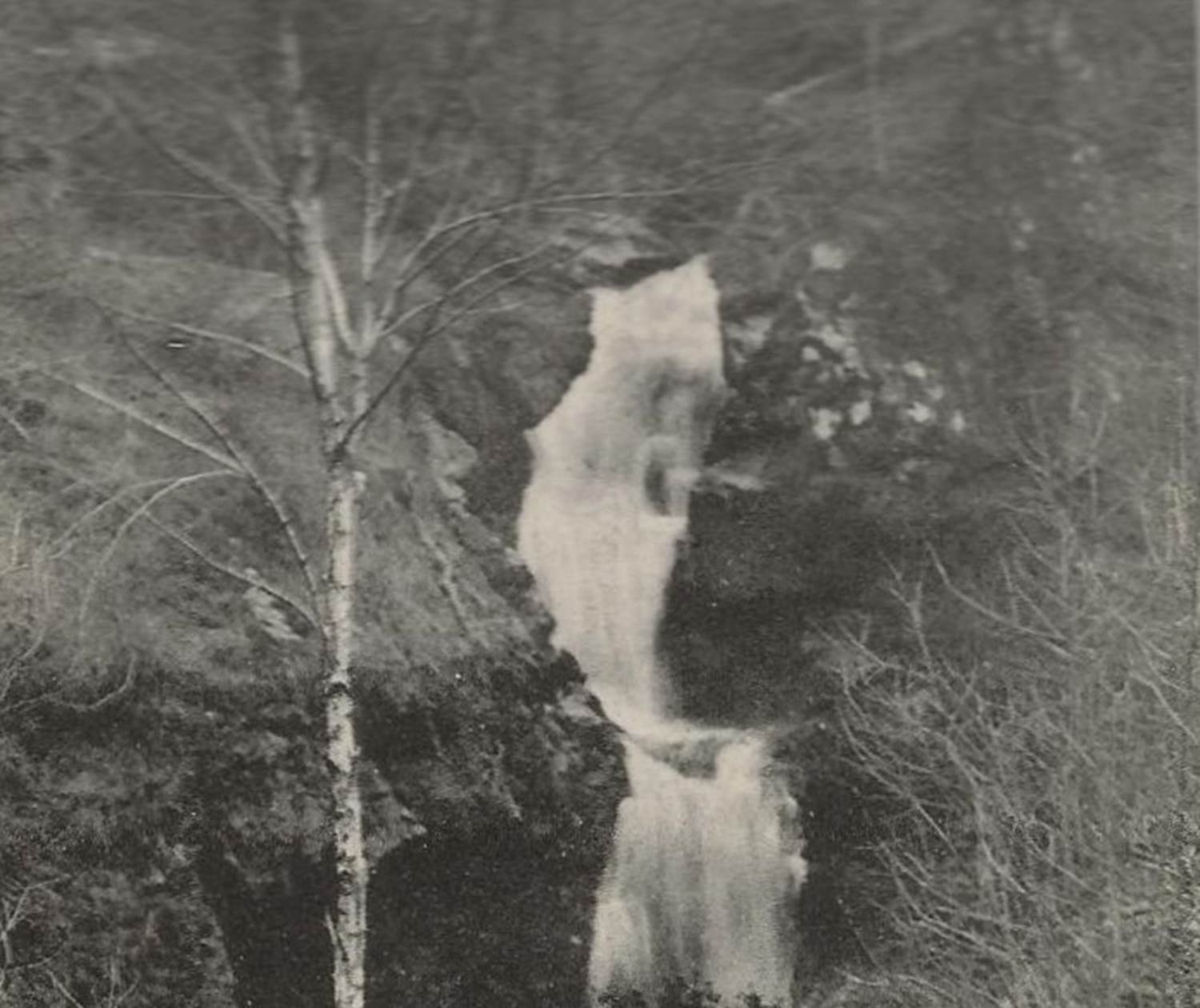 Carte postale vintage histoire parc vuillier correze tourisme tulle 4