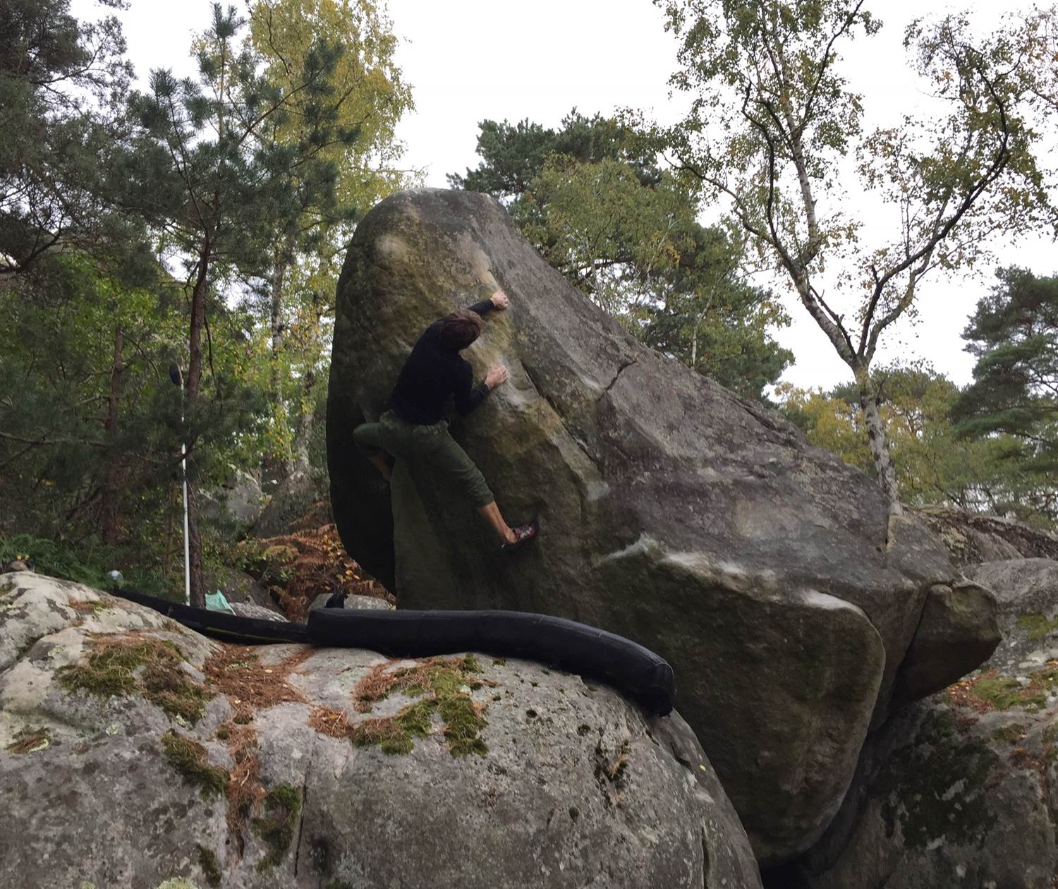 b7c72065-2228-41d8-88c1-ab82c8236990