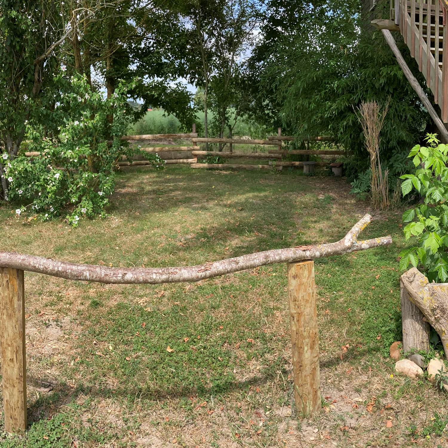 image_50428673 (1)