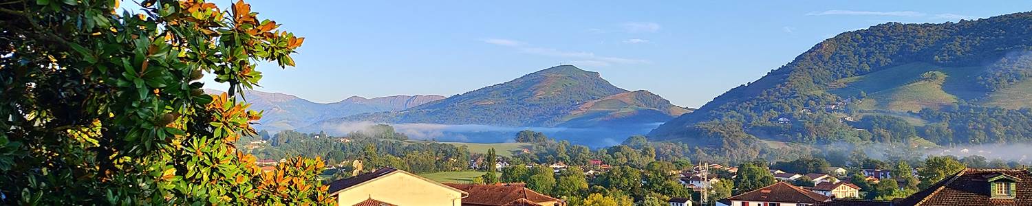La vue