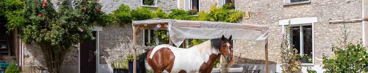 cheval