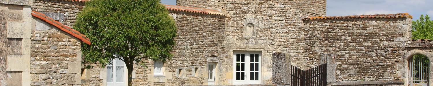 Vue générale depuis la cour du château