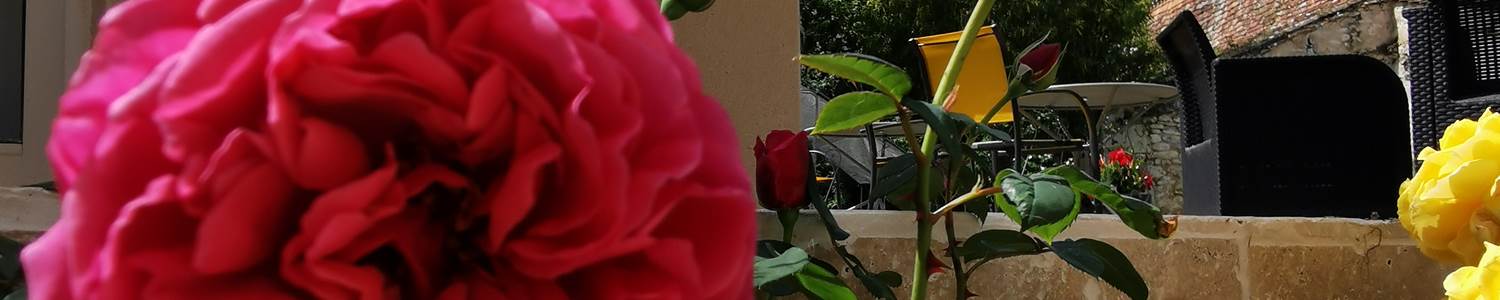 IMG_20230505_123038