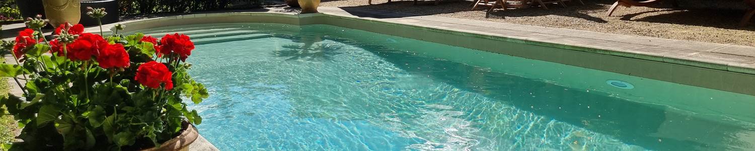 La piscine et sa terrasse