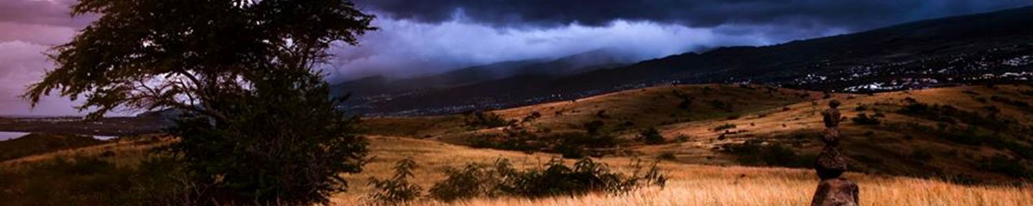 savane réunion