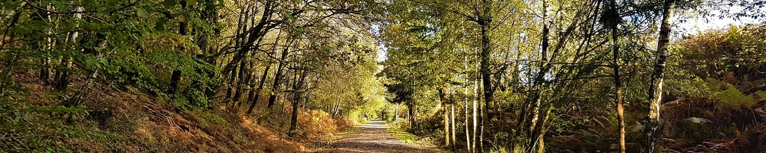 Balade dur le pré-ravel à Morhet