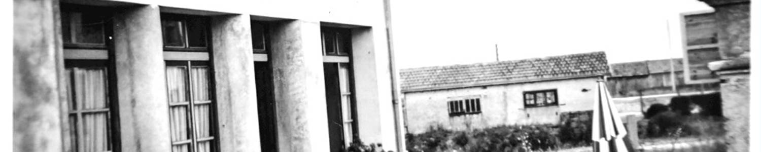 Les hirondelles d'antant