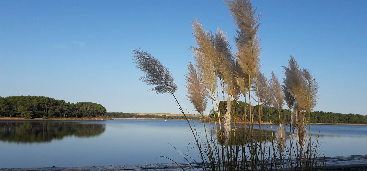 lac de port d'albret