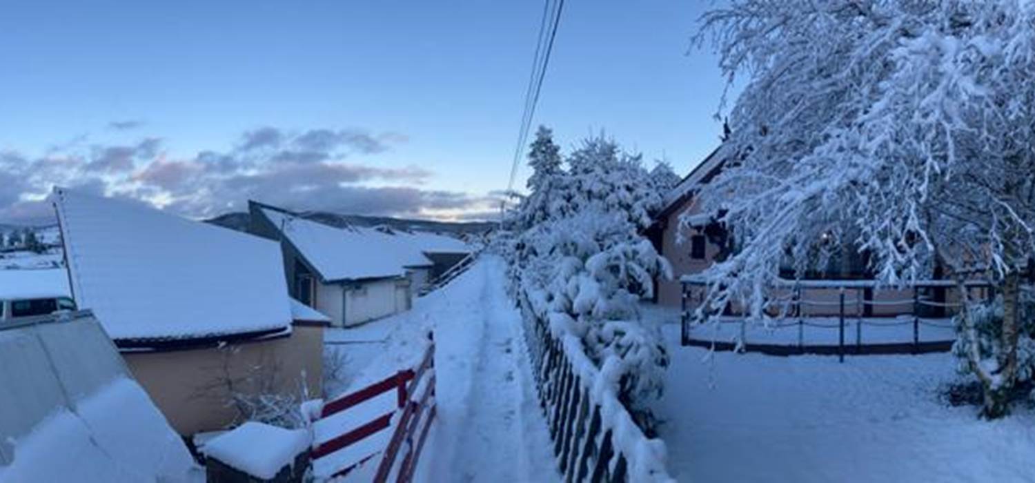 REFUGEECUREUILARRIVEE