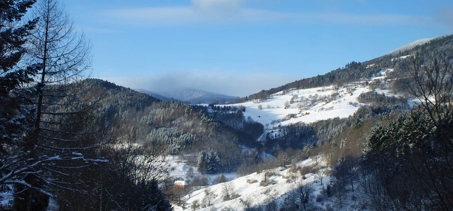 vue sur les collines Vosgiennes en hiver