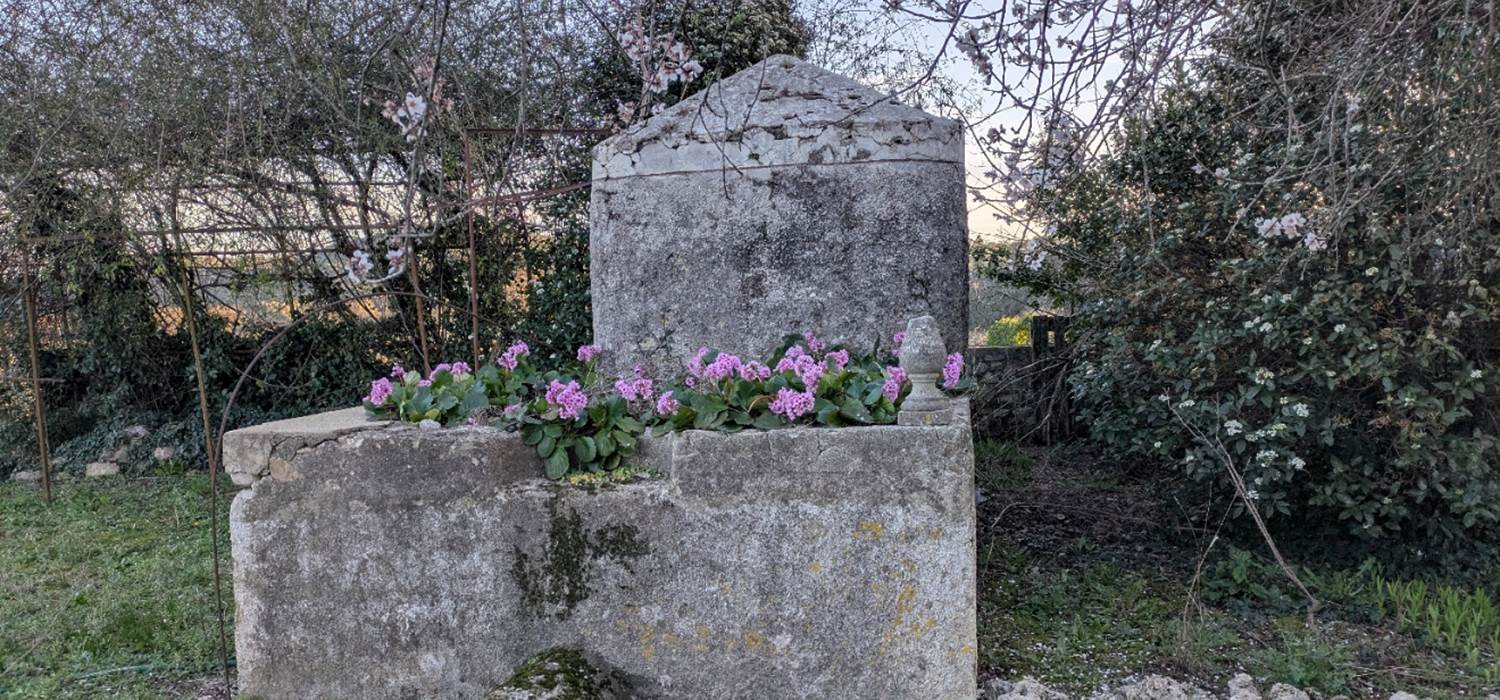 PXL_20250228_164908632