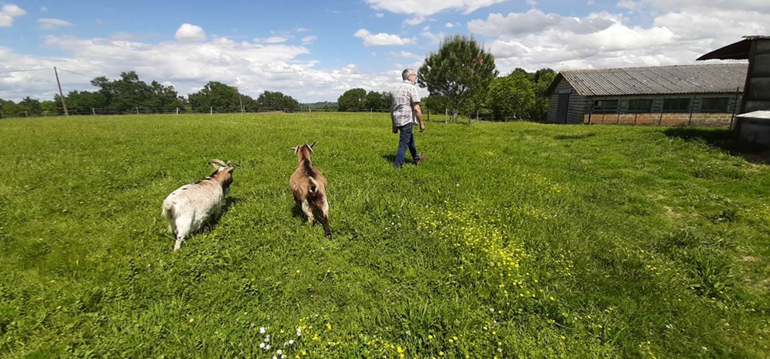 Mini Ferme L'Horizon des Landes Doazit