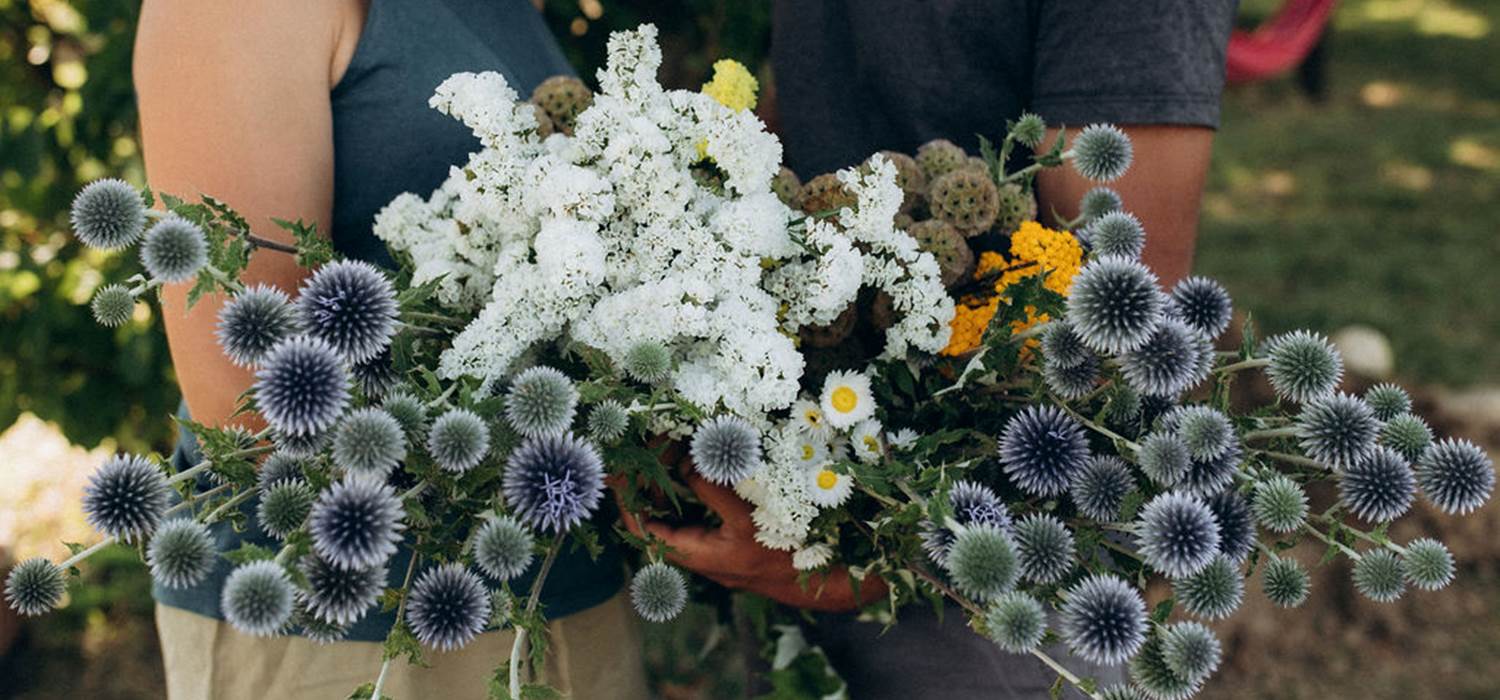 bouquet-fleurs-sechees-francaises-terralya