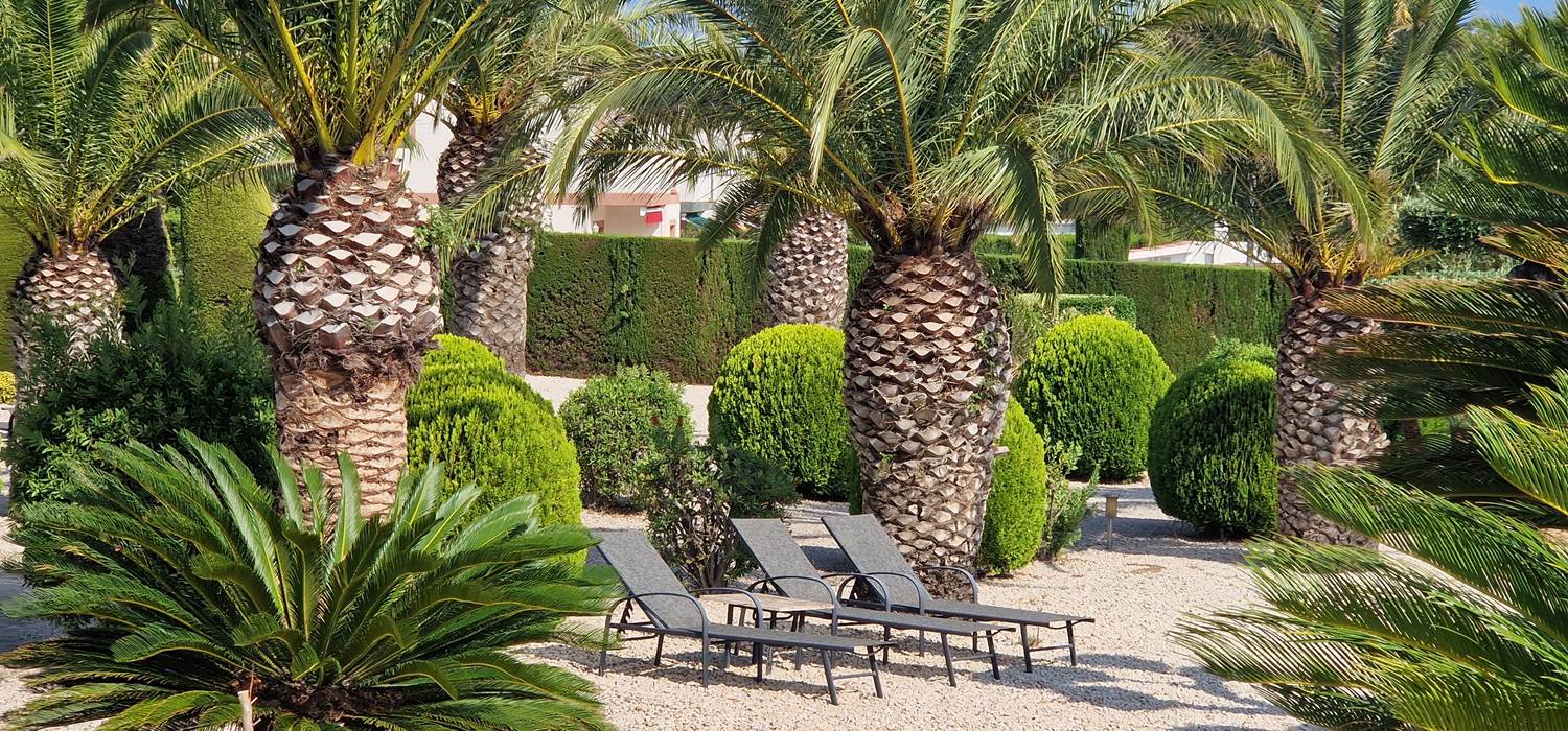 20230729_172951_Original