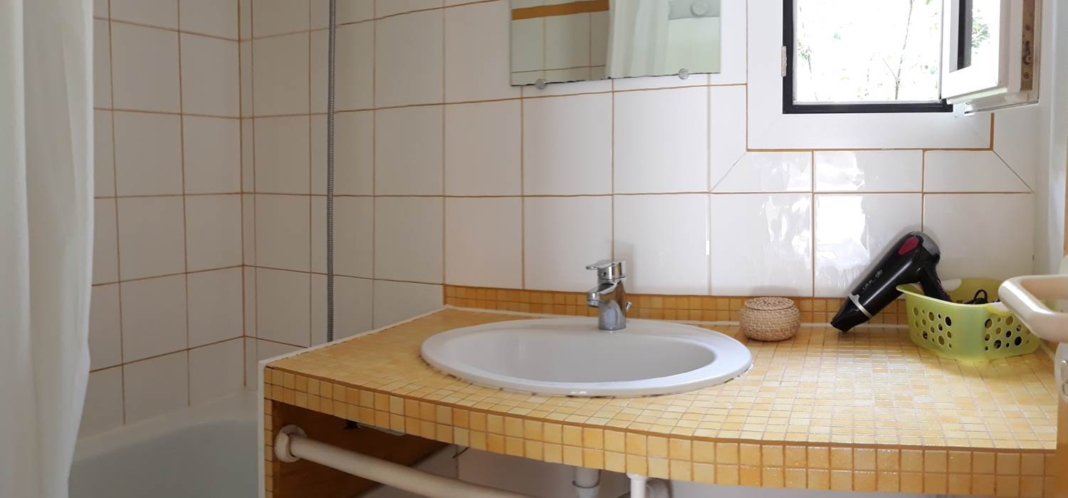 SDB, plan de vasque, baignoire/douche