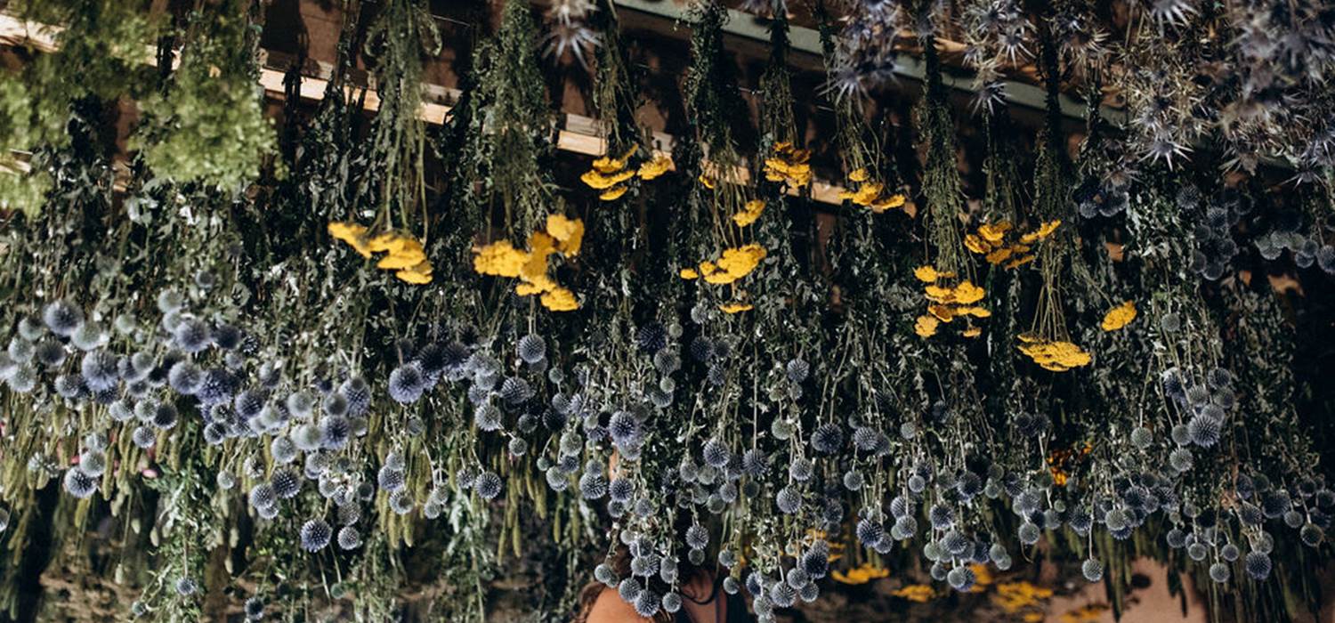 sechage-naturel-fleurs-sechees-terralya
