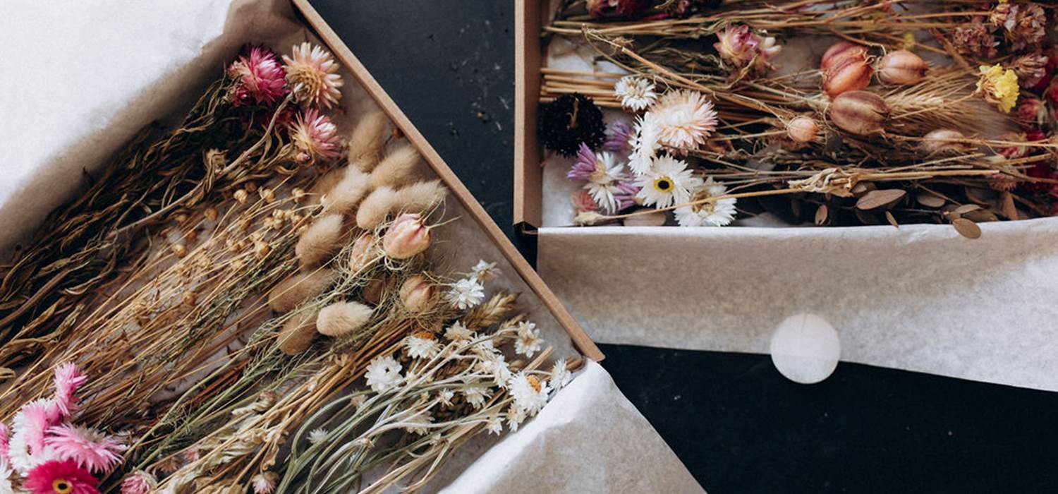 coffrets-fleurs-sechees-francaises-terralya