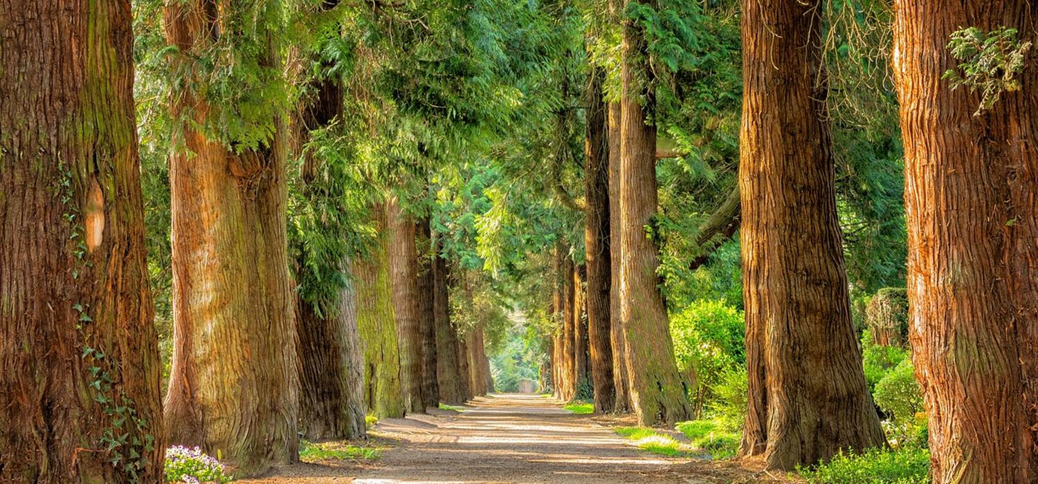 Image libre de droit utilisée à des fins commerciales. Suggestion de présentation