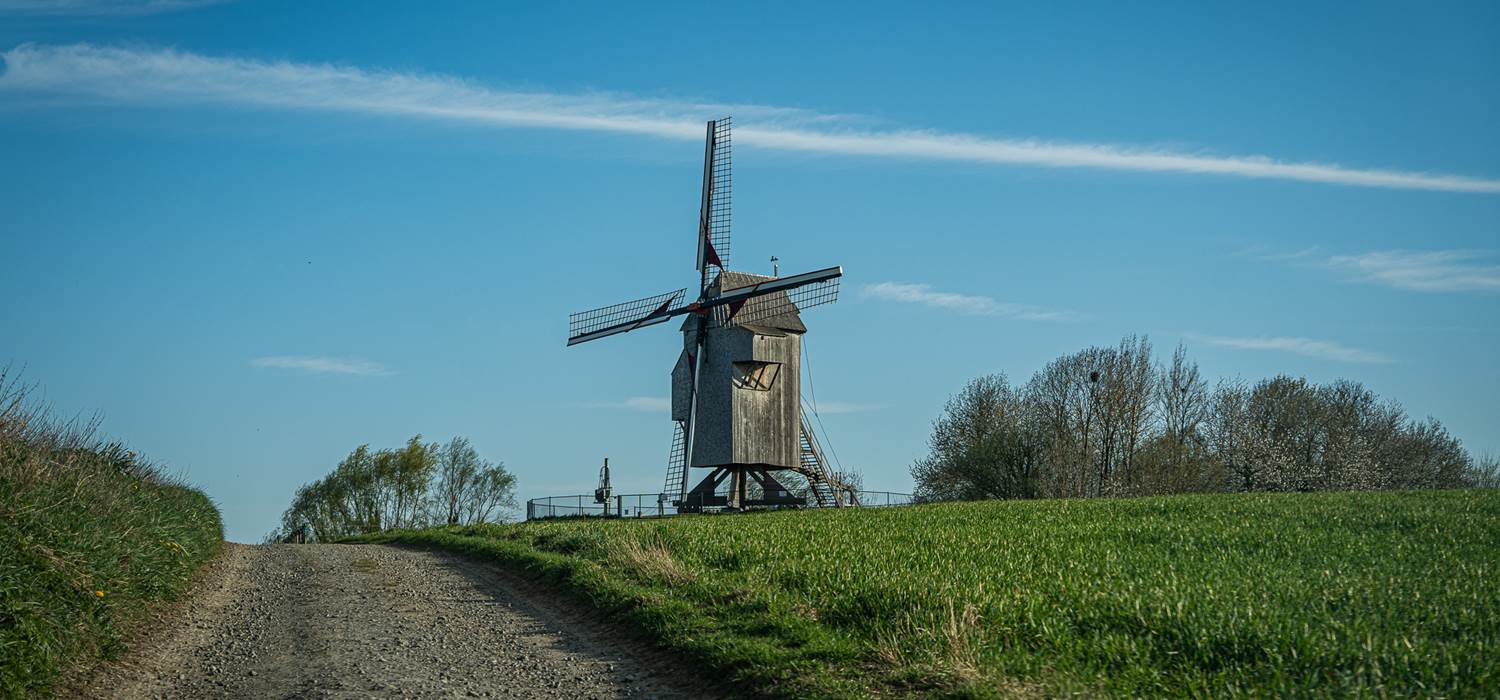 DSC04324