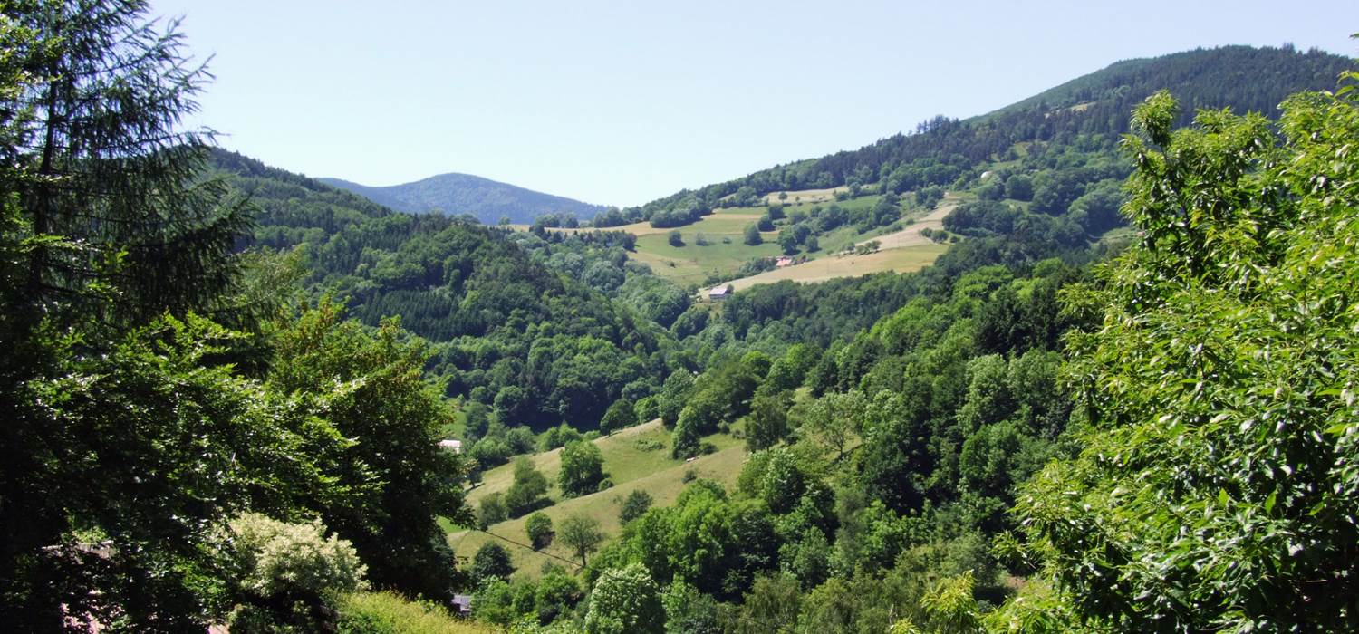 gîte au calme