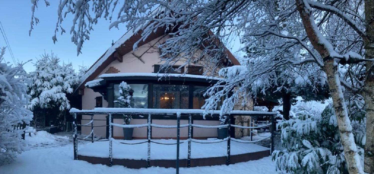 REFUGEECUREUILPANOFACE1280