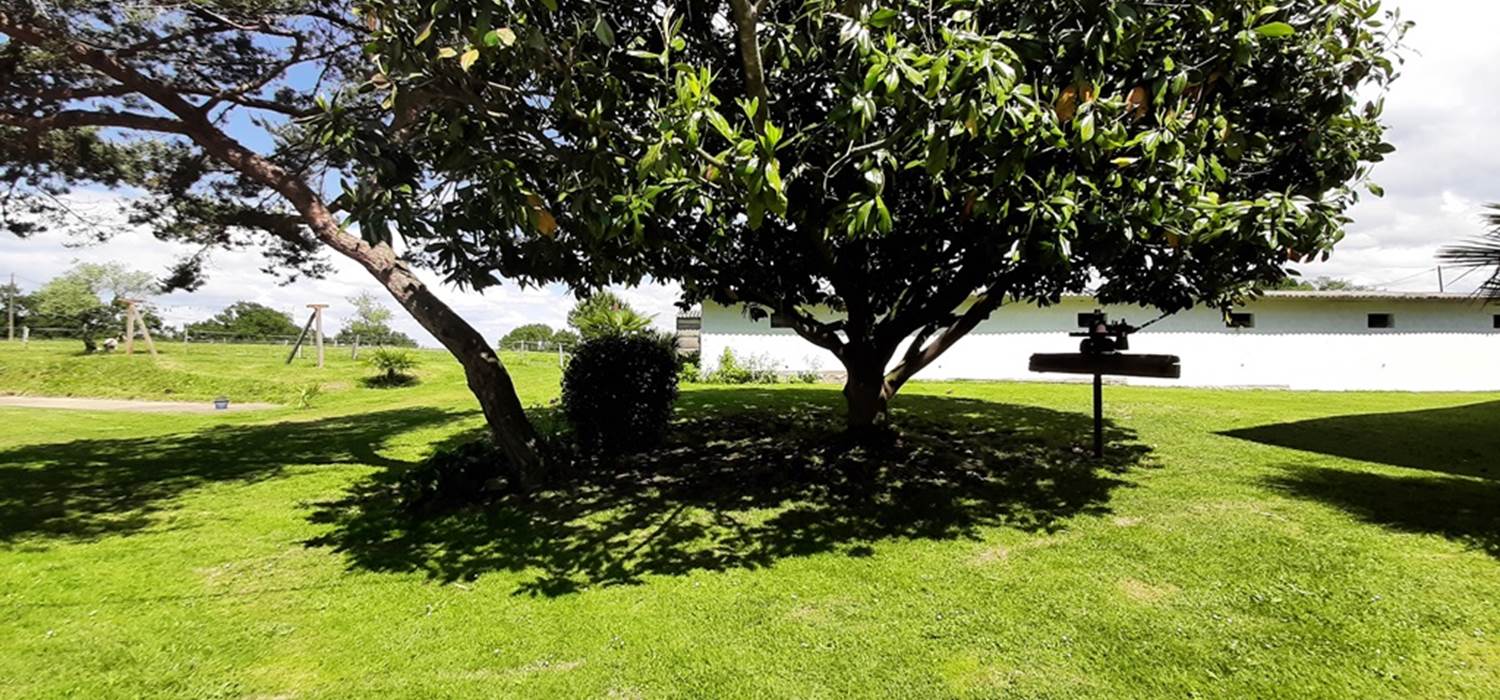 Parc arboré HORIZON DES LANDES DOAZIT