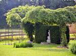 Insolites Chimay jardin