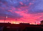 IMG_20221220_080309