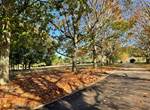 gite_bretagnesud_golfedumorbihan_grand-parc_couleurs-automne