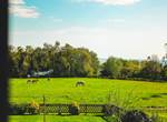 Côté Sud : Vue de la chambre sur la campagne, les chevaux et la baie de La Forêt-Fouesnant et au loin les îles Glénan selon météo