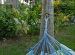 Gite-Cocotier-calme-serenite-l-or-des-caraibes-sainte-anne-guadeloupe
