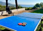 Ping Pong