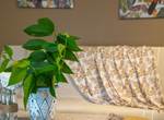Gite-Cocotier-salon-repos-detente
