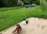 IMG_20250512_175138