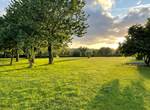 Grand parc arboré lumière du soir