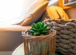 Gite-Cocotier-chambre-detente