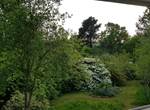 Vue depuis suite parentale velux Paysage printemps 2024