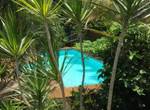 Soleil-palmiers-piscine-des-gites-l-or-des-caraibes