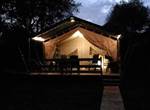 by night
