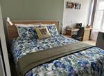 Chambre verte