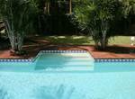 Soleil-palmiers-piscine-des-gites-l-or-des-caraibes