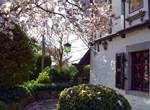 Magnolia Manoir b