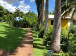 A-l-ombre-des-palmiers-royaux-jardin-l'or-des-caraibes