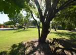 le parc ombragé du Mas Julien