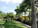 A-l-ombre-des-palmiers-royaux-jardin-l'or-des-caraibes