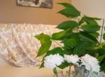 Gite-Cocotier-salon-repos-detente