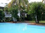 Soleil-palmiers-piscine-des-gites-l-or-des-caraibes