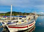 Pointu au port de Carqueiranne_2